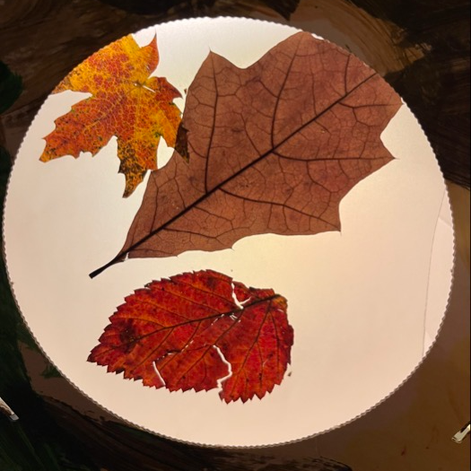 Albumcover: Herbstlied