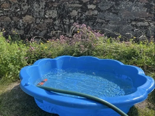 Blaue Plansch-Muschel vor einer Steimauer, die gerade mit einem Gartenschlauch gefüllt wird.