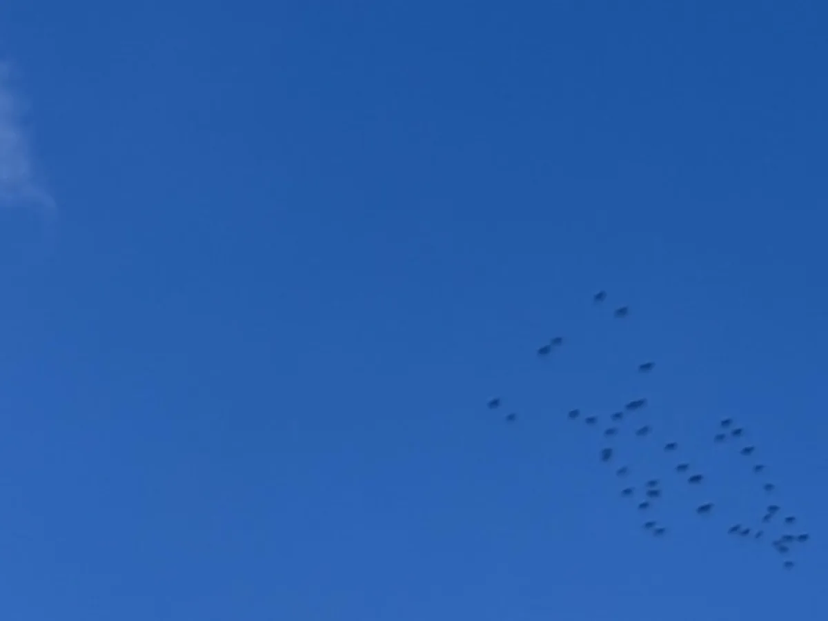 Blauer Himmel mit einer hellen Wolkenkante im oberen linken Bereich. Rechts unten sind mehrere kleine dunkle Flecken, die in zwei lockeren Gruppen angeordnet sind.