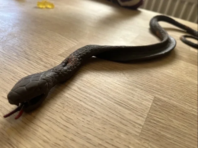 Langes, schlankes, schlangenähnliches Gummitier auf einer hellen Unterlage