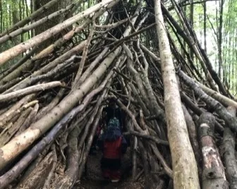 Viele lange Baumstämme und dicke Äste sind schräg aneinandergelehnt und bilden einen konischen Tunnel oder Unterschlupf zwischen den Bäumen. Im Inneren des Holzbauwerks steht eine teilweise sichtbare Person mit rotem Oberteil und einem Rucksack.