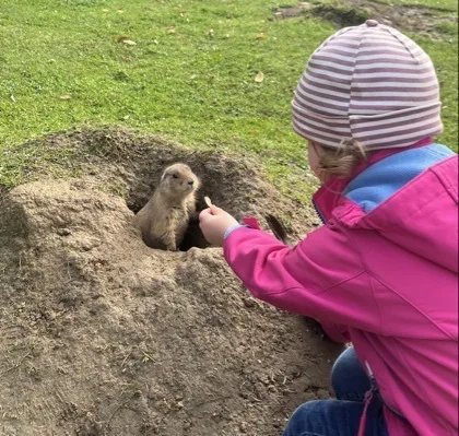 Ein Kind in pinkfarbener Jacke und gestreifter Mütze kniet neben einem aufgeworfenen Erdhügel. Aus einer Öffnung im Hügel ragt ein kleines, hellbraunes Tier, dem das Kind mit ausgestreckter Hand einen kleinen, hellen Gegenstand reicht.