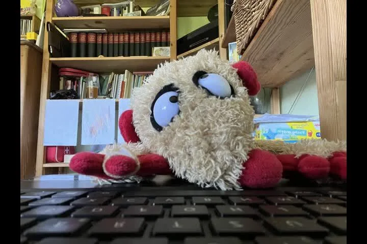Eine Henry-Handpuppe von Jan und Henry liegt mit nach oben verdrehten Augen über einer Tastatur